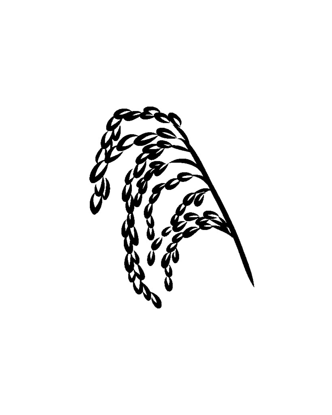 feature-item-4